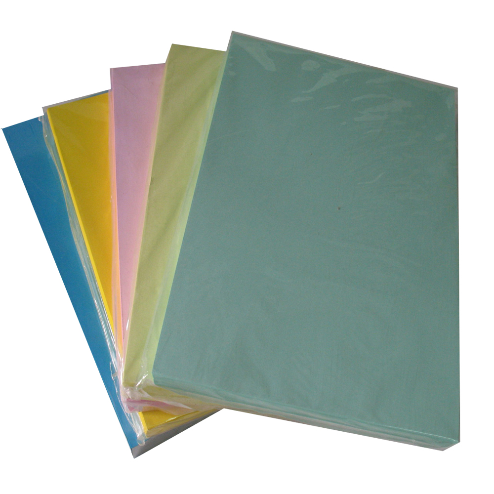 Bìa Thái A3 Việt Nam (Trắng, dương, hồng, lá, vàng)