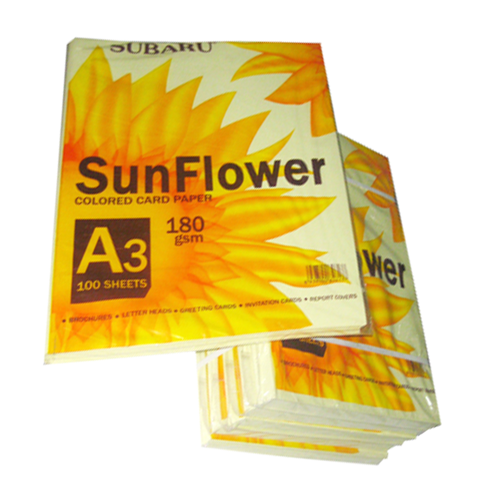 Bìa Thái Sunflower A3 (Trắng, dương, hồng, lá, vàng)